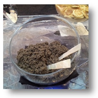 Sevruga Caviar, Bulk Sevruga Caviar, 430gram Tin Classic Sevruga Caviar